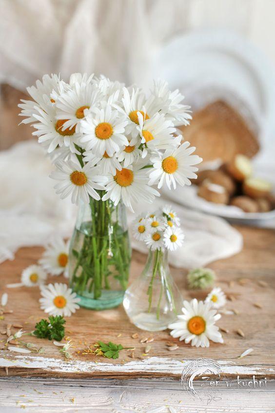 Tử vi tuần mới 12 cung hoàng đạo 20/9 đến 26/9/2021: Sư Tử vất vả lắm!-1