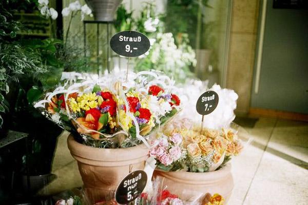 3 đặc điểm gương mặt phụ nữ cho thấy tương lai viên mãn-4