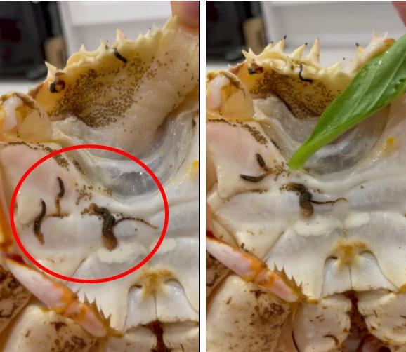 Mua cua hoàng đế thấy sinh vật lạ, bạn gái cũ Quang Hải liền bóc phốt-3