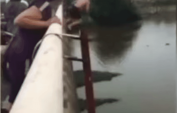 Bộ trưởng Quốc phòng gửi thư khen quân nhân cứu người đuối nước-1