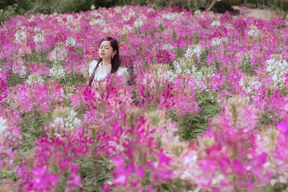 Mùa hoa Sa Pa đã tới rồi, bạn có nhớ cái hẹn lúc thu về?-3