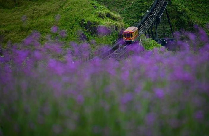 Mùa hoa Sa Pa đã tới rồi, bạn có nhớ cái hẹn lúc thu về?-5