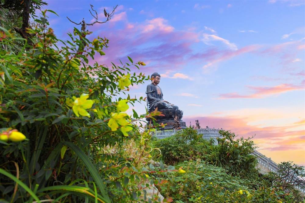 Mùa hoa Sa Pa đã tới rồi, bạn có nhớ cái hẹn lúc thu về?-7