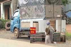 Bình Phước: Bắt xe tải chở 7 người trong thùng trốn chốt kiểm dịch