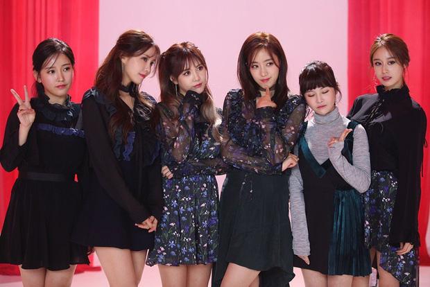 Mina và Hwayoung: Trà xanh - rắn độc hủy hoại tương lai nhóm-6