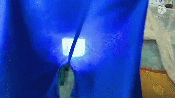 Cười ngã ngửa đèn Trung Thu tự chế phiên bản quần đùi xoay-1