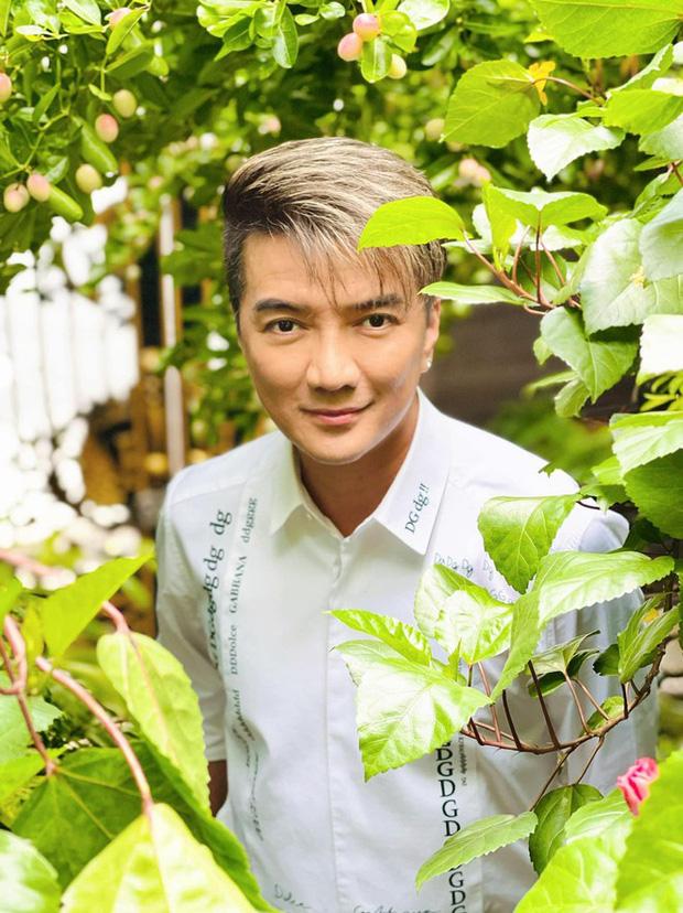 Lộ hợp đồng của Đàm Vĩnh Hưng và một công ty kiểm toán?-2