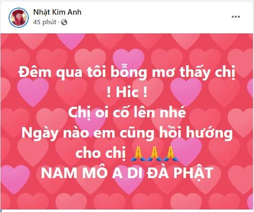 Sức khỏe Phi Nhung chuyển xấu, sao Việt đồng loạt cầu nguyện-4