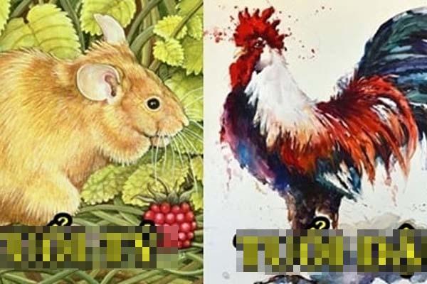 Tử vi thứ Sáu 24/9/2021 của 12 con giáp: Mão gặp quý nhân!-5