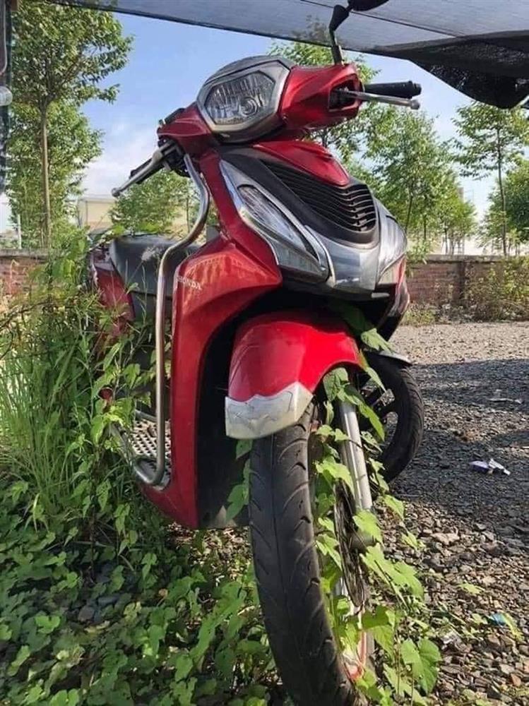 Xe máy nở hoa, ô tô chuột làm tổ sau 2 tháng nghỉ giãn cách-7