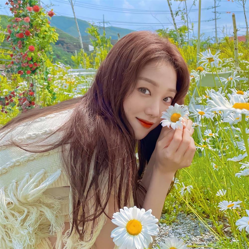 Tử vi thứ Sáu 24/9/2021 của 12 con giáp: Mão gặp quý nhân!-1