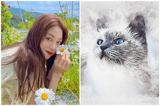 Tử vi thứ Sáu 24/9/2021 của 12 con giáp: Mão gặp quý nhân!