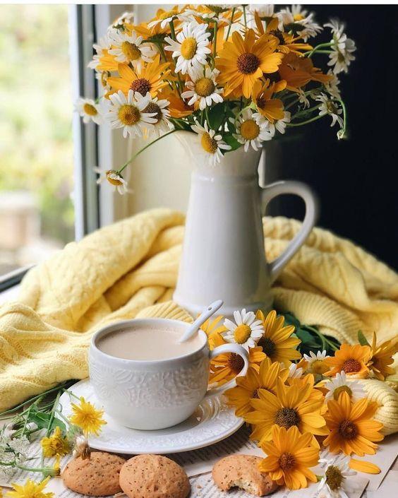 Tử vi 12 cung hoàng đạo thứ Sáu 24/9/2021: Bảo Bình lạc quan lên!-1