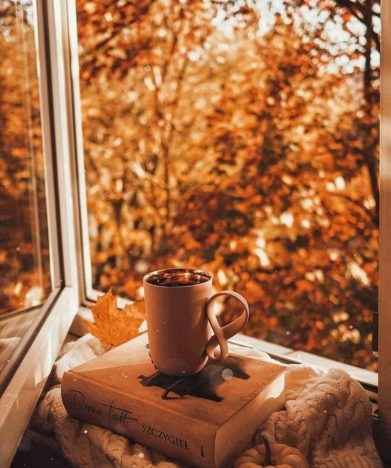 Tử vi 12 cung hoàng đạo thứ Sáu 24/9/2021: Bảo Bình lạc quan lên!-3