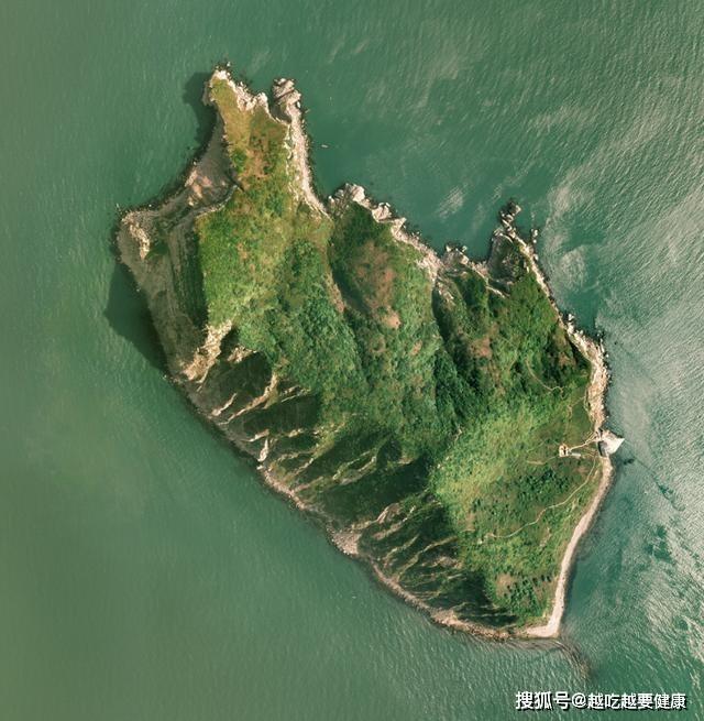 Rợn người hòn đảo gần 20.000 con rắn độc trong 1km2-2