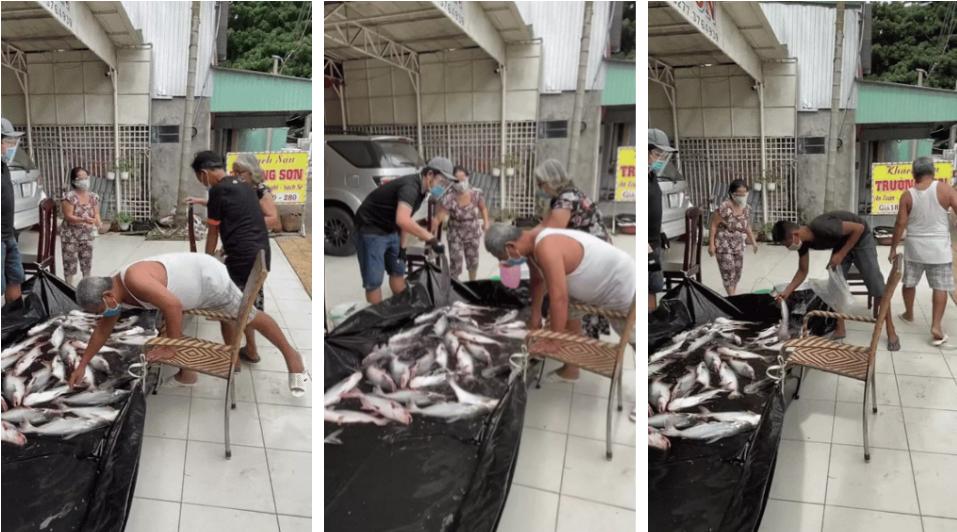 Gia đình sộp nhất miền Tây: Mang hồ cá to để trước nhà, ai cần cứ lấy-1