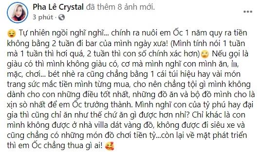 Pha Lê: Tiền nuôi con 1 năm không bằng 2 tuần đi bar-2