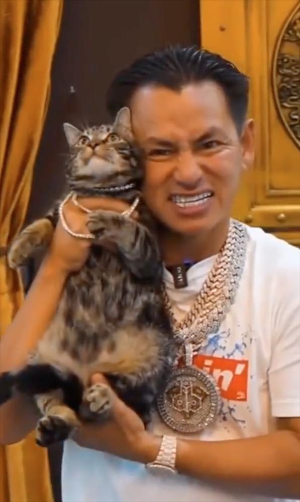 Đẳng cấp mèo nhà triệu phú: Đeo sương sương vài chục viên kim cương-2