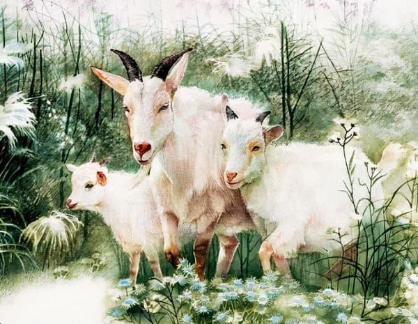 3 con giáp gặp nhiều điều tốt, trở nên giàu có từ giờ đến tháng 12-1