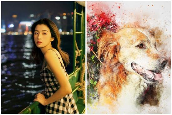 Tử vi tuần mới 12 con giáp 27/9/2021 - 3/10/2021: Tuất quá hoang!