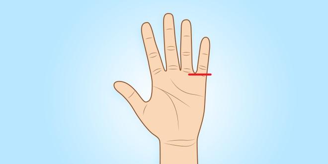 Nhìn ngón tay út 5 giây, biết tương lai bạn giàu sang hay nghèo khổ-2