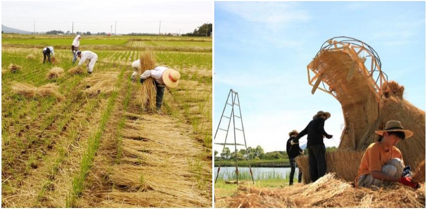 Lễ hội này ra đời từ hơn 10 năm trước, khi những người nông dân quận Nishikan (trước kia là làng Iwamuro) tìm cách xử lý lượng rơm thừa sau khi gặt. Ảnh: Hypebeast.