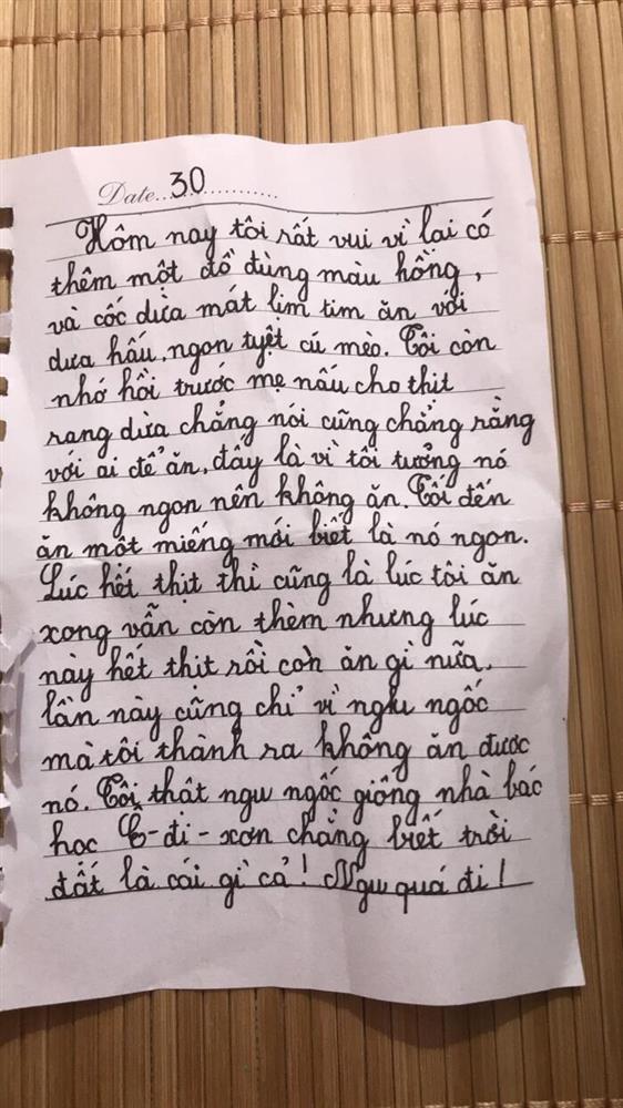 Bé gái lớp 2 viết nhật ký nói xấu cả thế giới, câu chốt gây cười-2