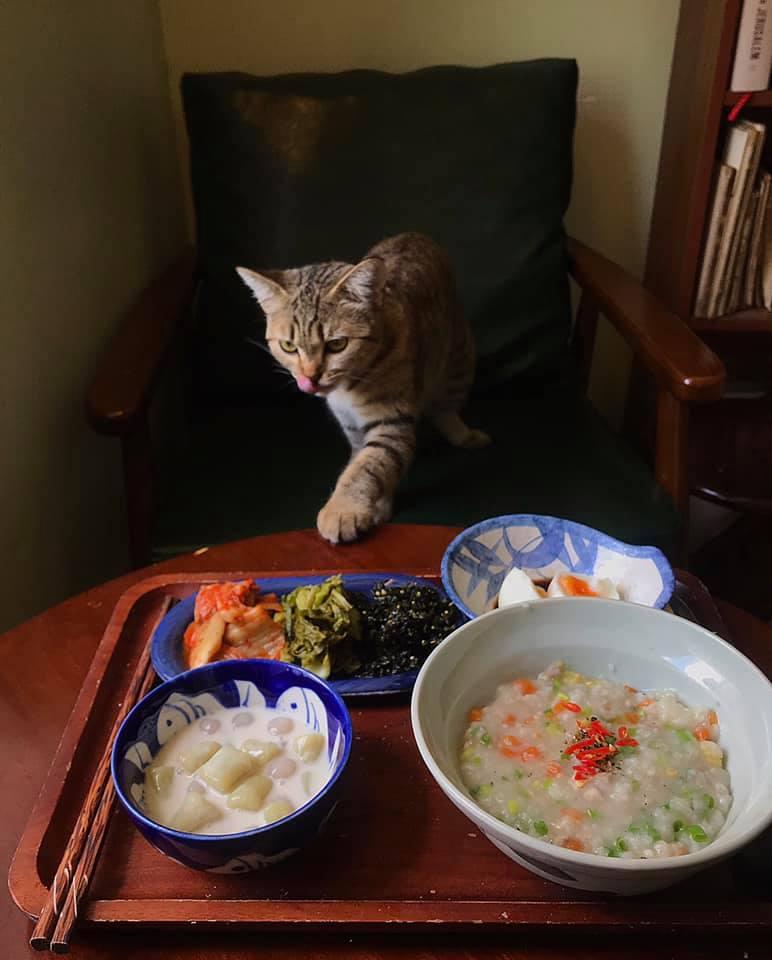 Cách ly cùng 1 chú mèo, 8x vẫn đam mê nấu toàn món ngon-4