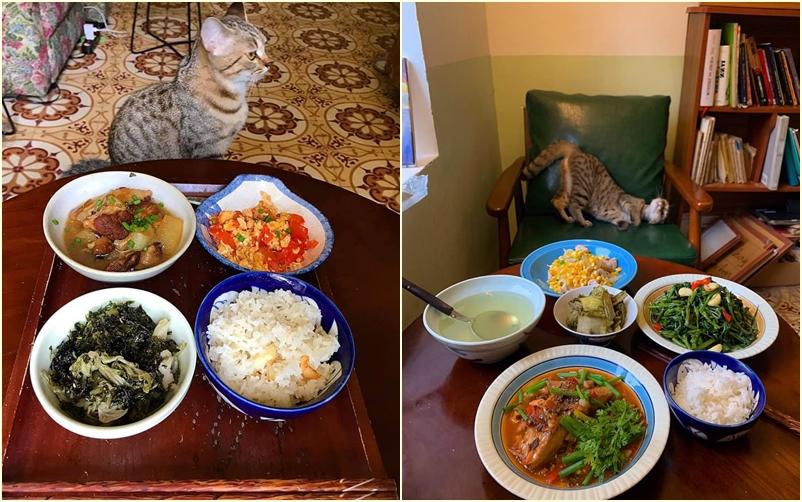 Cách ly cùng 1 chú mèo, 8x vẫn đam mê nấu toàn món ngon-6