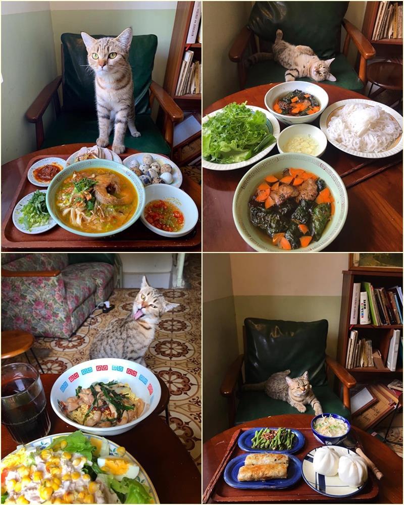 Cách ly cùng 1 chú mèo, 8x vẫn đam mê nấu toàn món ngon-9