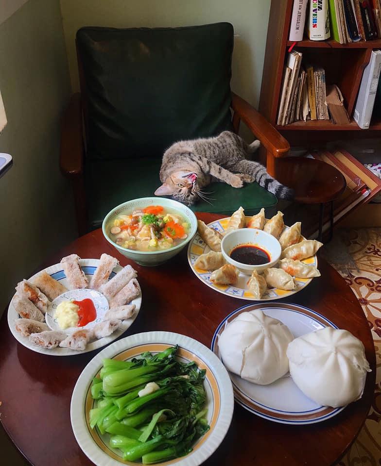 Cách ly cùng 1 chú mèo, 8x vẫn đam mê nấu toàn món ngon-11
