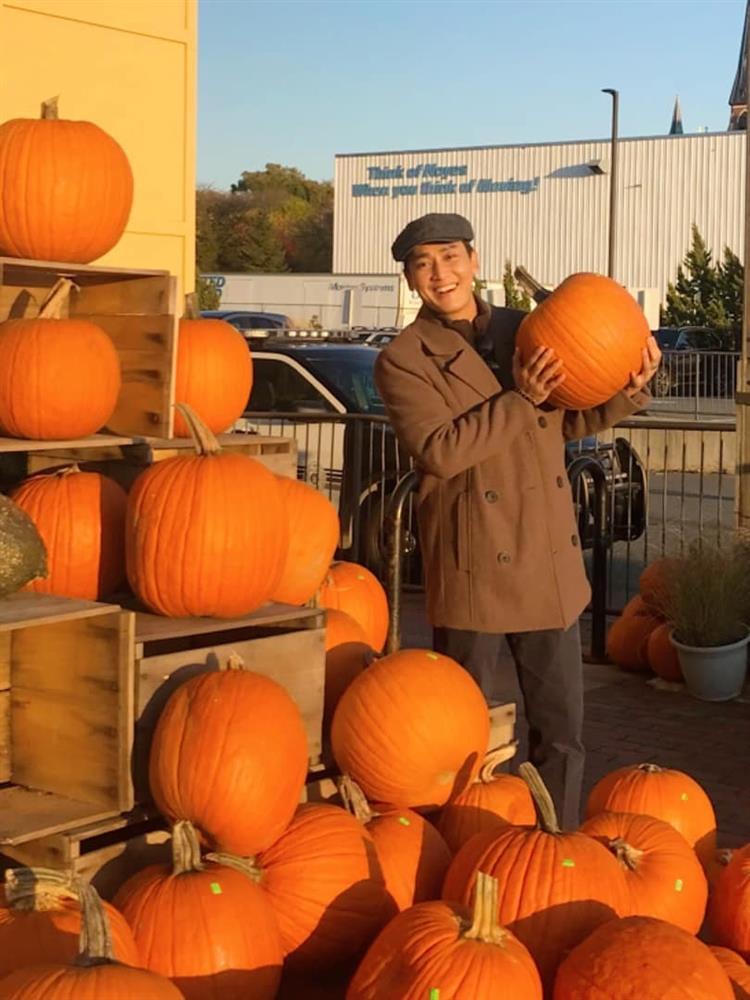 Pose dáng với bí ngô: Chi Pu được khen - Phạm Hương nhận đá-7