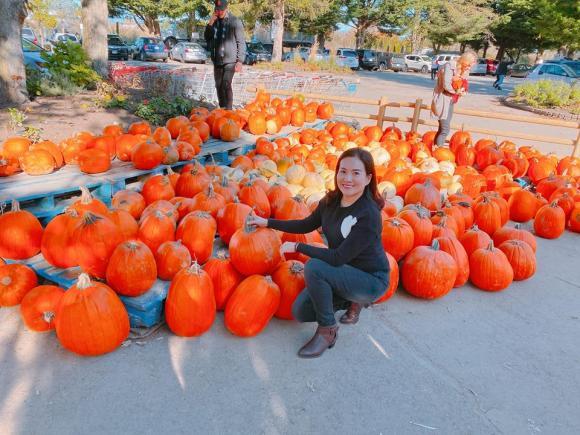 Pose dáng với bí ngô: Chi Pu được khen - Phạm Hương nhận đá-11