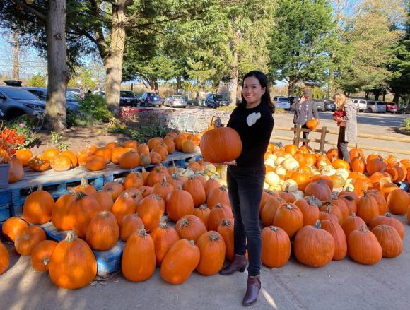 Pose dáng với bí ngô: Chi Pu được khen - Phạm Hương nhận đá-12