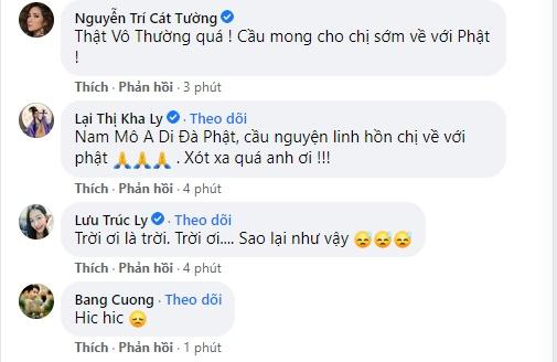 Phi Nhung qua đời, làng showbiz Việt ngập trong nước mắt-8