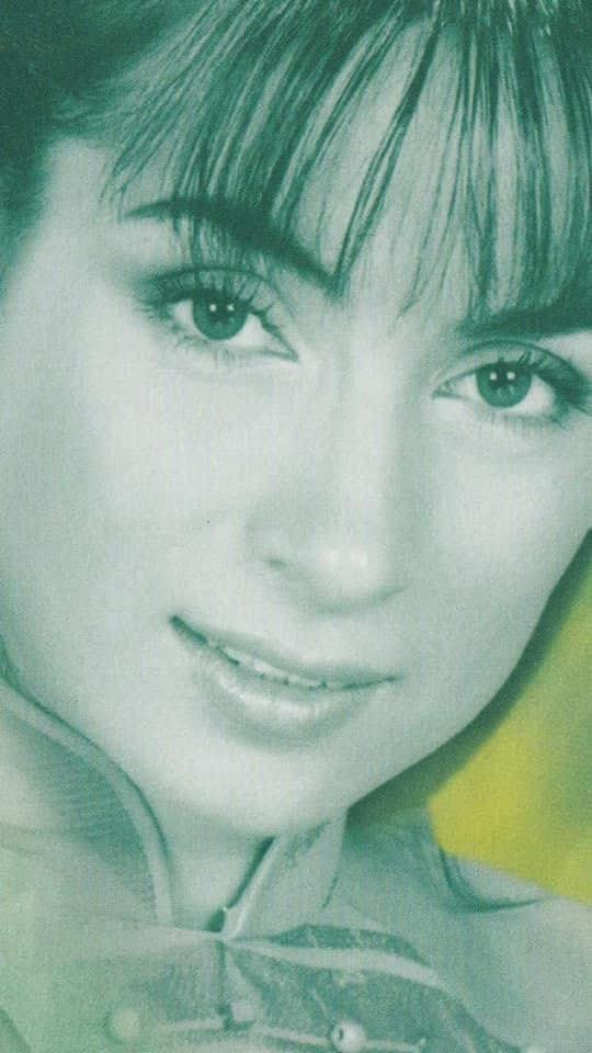 Ảnh thời trẻ xứng danh giai nhân làng nhạc của Phi Nhung-10