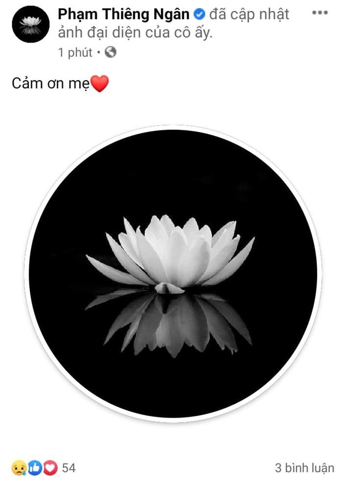 Hồ Văn Cường tái xuất, thay ảnh để tang mẹ nuôi Phi Nhung-5