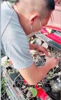 Suốt 2 tháng đắp chiếu, chủ xe váng đầu khi ôtô đâm chồi nảy lộc-1