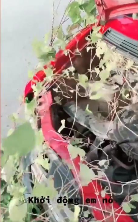 Suốt 2 tháng đắp chiếu, chủ xe váng đầu khi ôtô đâm chồi nảy lộc-2