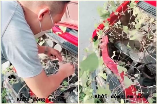 Suốt 2 tháng 'đắp chiếu', chủ xe váng đầu khi ôtô 'đâm chồi nảy lộc'