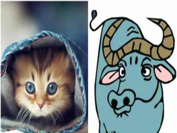 4 con giáp nam nổi tiếng đào hoa, phong lưu và có quỹ đen khủng-1