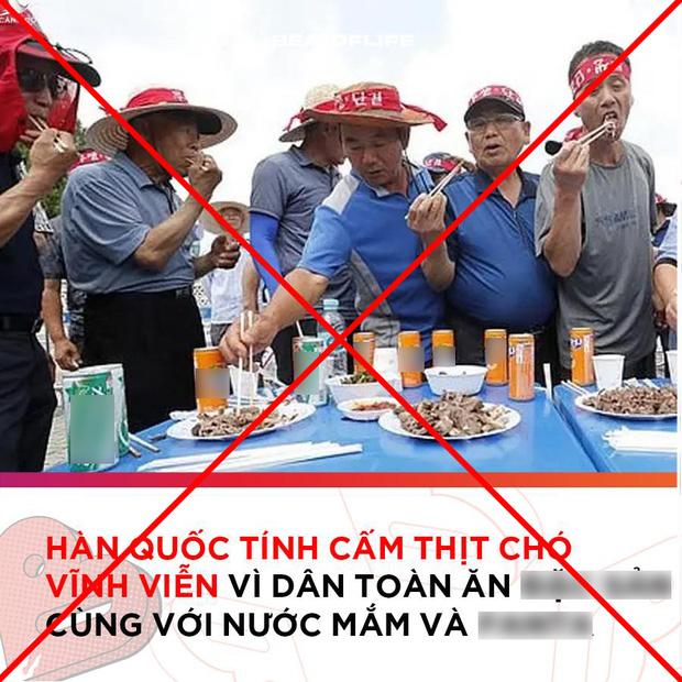 Rộ thông tin Hàn Quốc cấm tiêu thụ thịt chó, sự thật là gì?-1