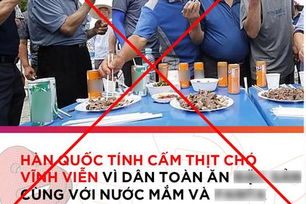 Ứng viên Tổng thống Hàn Quốc nuôi 4 con cún vẫn đồng ý thịt chó-3