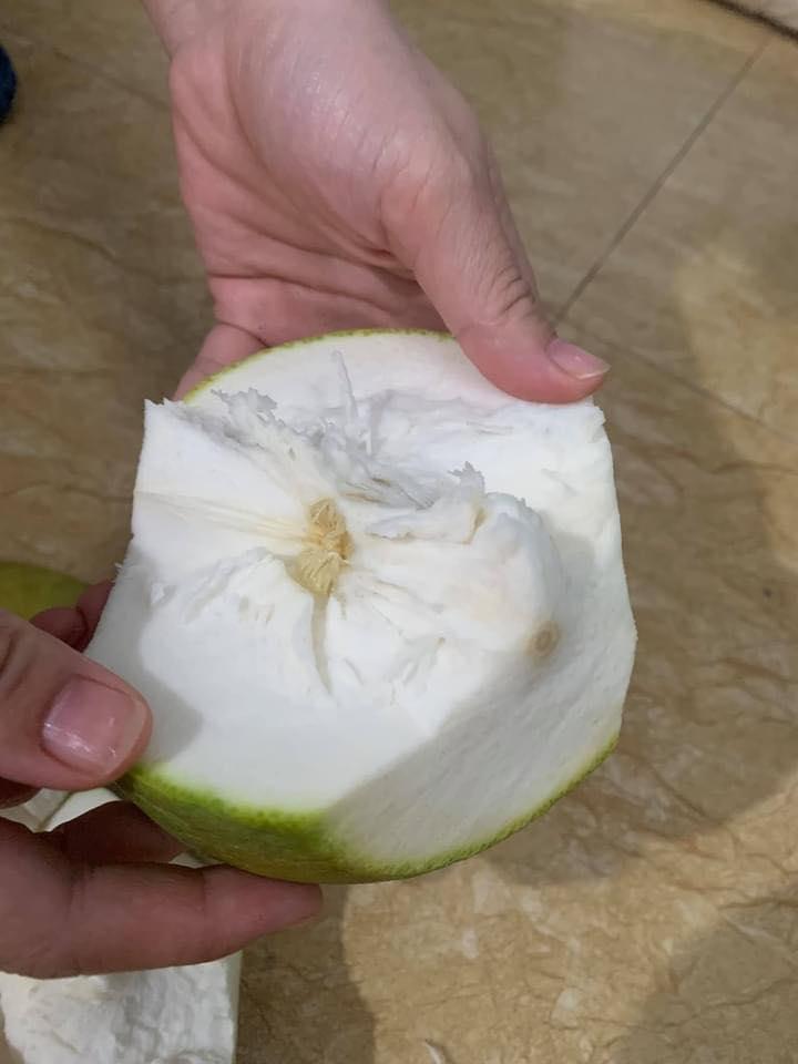 Khóc không thành tiếng với bưởi đột biến 8 nghìn lá 2 nghìn xôi-3