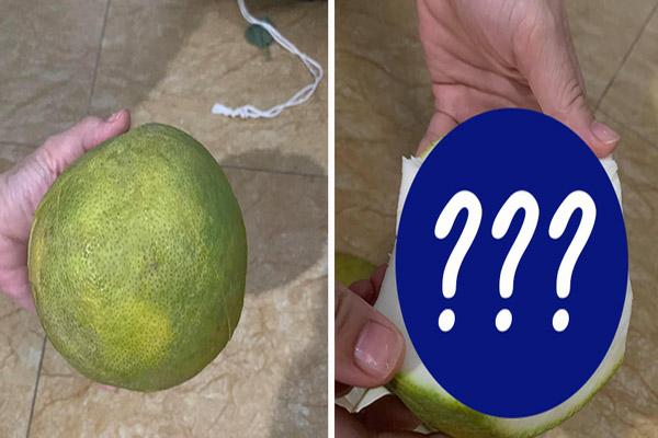 Vất vả chăm cây bưởi ra quả sai trĩu, phát hiện cảnh tức điên người-2