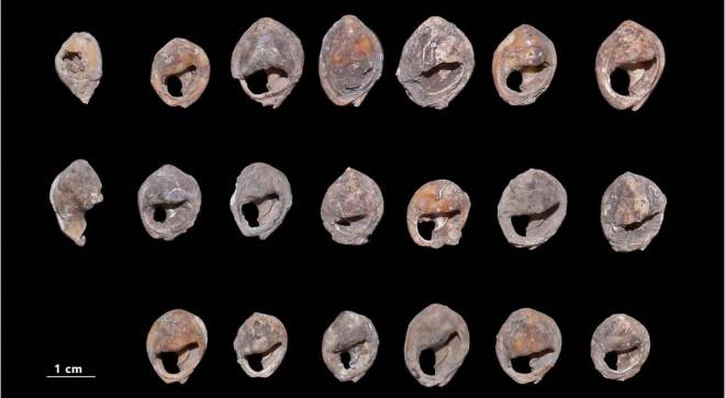 Choáng váng kho trang sức cổ nhất thế giới 150.000 tuổi-1