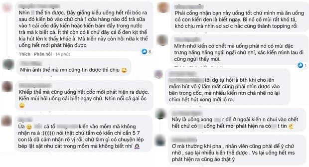 Kiến bu trà sữa, cô gái bóc phốt nhưng lại bị nghi ngờ lươn lẹo-3