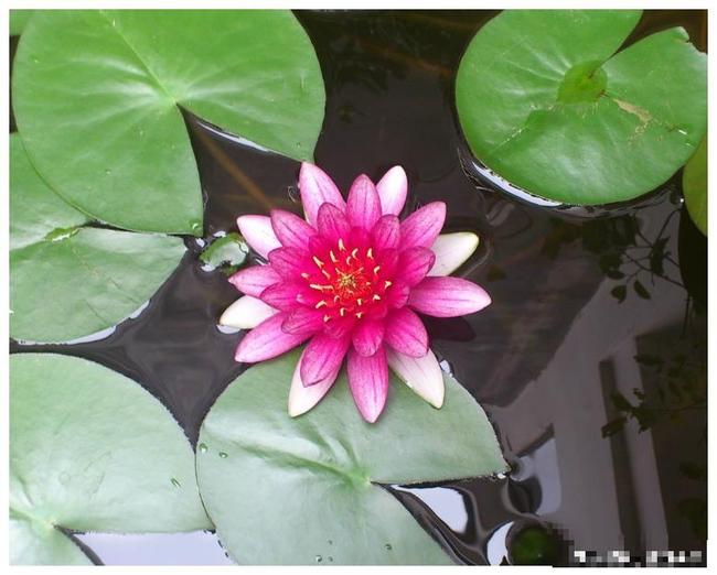 Phúc lộc sâu dày, tiền về nặng tay người sinh tháng âm lịch sau!-3