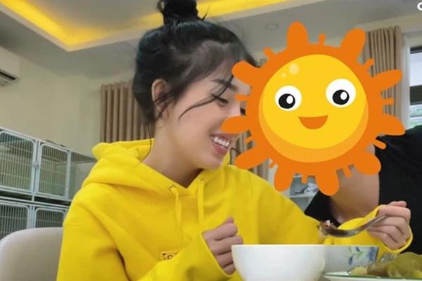 Linh Ngọc Đàm bị Wikipedia sửa thông tin, đọc sốc óc-4