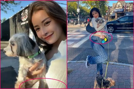 Chi Pu bị soi vòng 2 to bất thường sau tin đồn sang Mỹ 'lánh nạn'